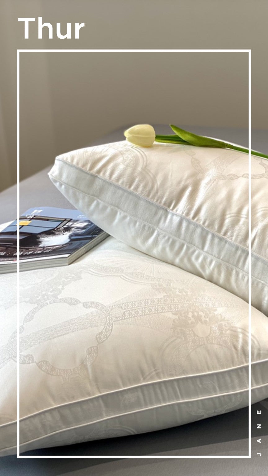 Soybean Fiber Aesthetic Soft Fit Cervical Spine Pillow Insert