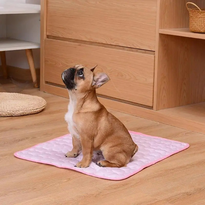 Dog Mat Cooling Summer Pad Mat For Dogs Cat Blanket Sofa Breathable Pet Dog Bed Summer Washable For Small Medium Large Dogs Car