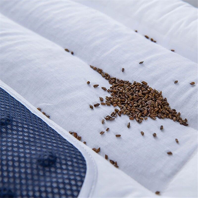 Adult Cassia Seed Pillow Case and Pillow Core Set Home a Pair of Pillow Core Protection Isolation Layer Cervical Support Sleep