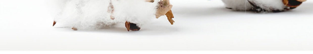 Sidford Home Buckwheat Pillow Seven Hotel Pillow Hanquan Court Season Special Pillow Core Cervical Support Sleep