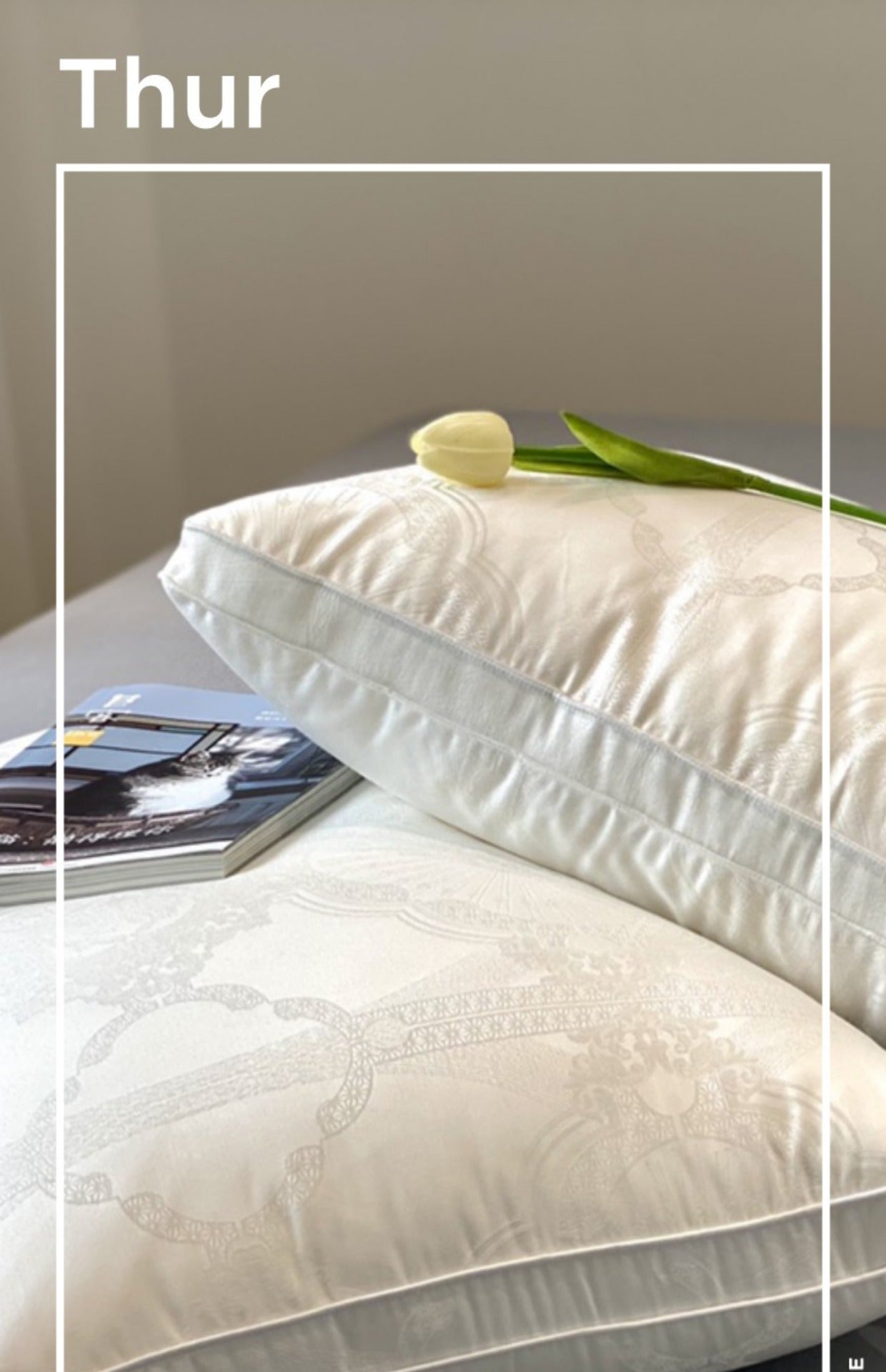 Soybean Fiber Aesthetic Soft Fit Cervical Spine Pillow Insert