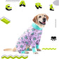 Dog Recovery Suit Abdominal Wound After Surgery Wear Prevent Licking Wounds Dog Pajamas Long Sleeve Prevent Shedding