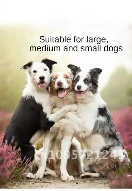 Electric Bark Training Collar, Remote Control, Anti Dog Vibration for Colar Pet Dogs, Collars Rechargeable, Waterproof, Sound,