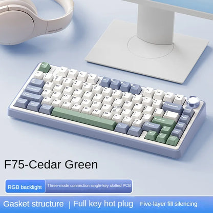 AULA F75 wireless Mechanical Keyboard,Gamer keyboard Customized Hot-Swap 75% Layout,OEM Profile Gasket Structure,Reaper Axis
