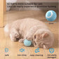 Power Ball Cat Toy, Interactive Cat Smart Ball Toy, Automatic Power Rolling Ball, Indoor Smart Pet Toy Ball with USB Charging