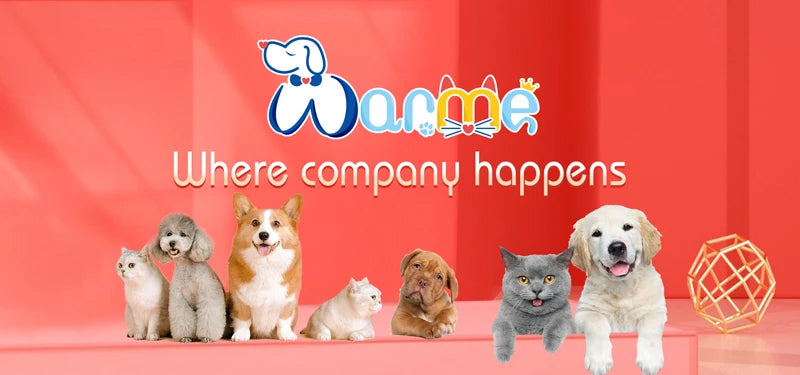 PVC Soft Pink Dog Harness Set And Leash Colar For Pet Dogs