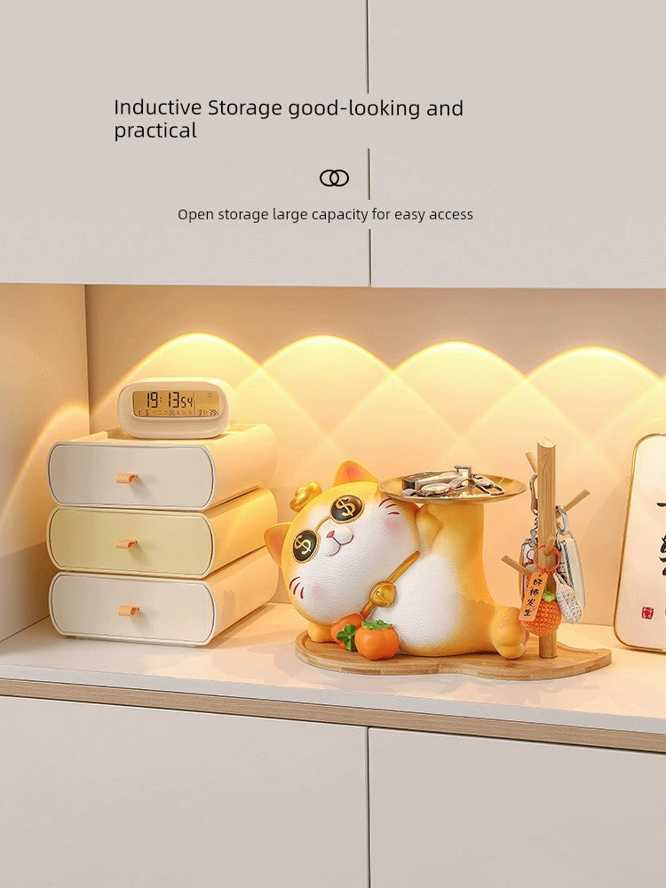 Entrance Accessible Luxury Housewarming Gifts Lucky Cat