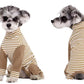 Puppy Dog Recovery Suit Abdominal Wound After Surgery Wear Prevent Licking Wounds Dog Pajamas Long Sleeve Prevent Shedding