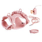 PVC Soft Pink Dog Harness Set And Leash Colar For Pet Dogs