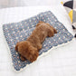 Pet Sleeping Mat Washable Plush Bed Mats for Cats  Blanket Pad Fleece Home Washable Warm Bear Pattern Blanket Pet Supplies