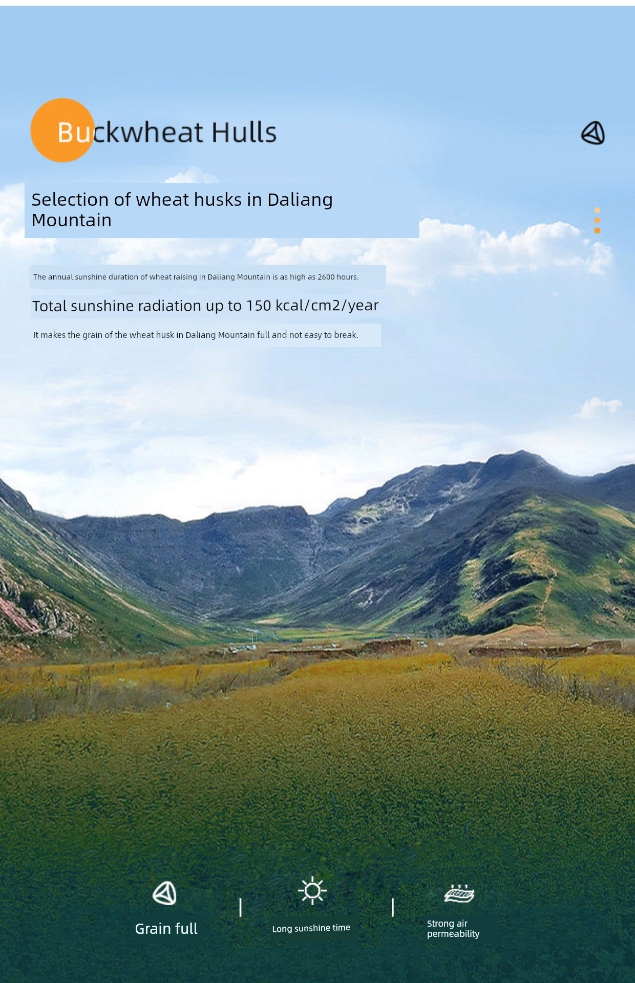 Sidford Home Buckwheat Pillow Seven Hotel Pillow Hanquan Court Season Special Pillow Core Cervical Support Sleep