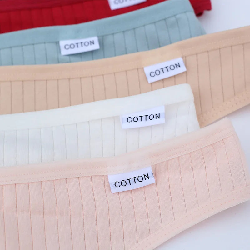 Women's V Waist Underwear Plus Size Briefs Ladies Low-Rise Underpants Comfortable Panties Lingerie