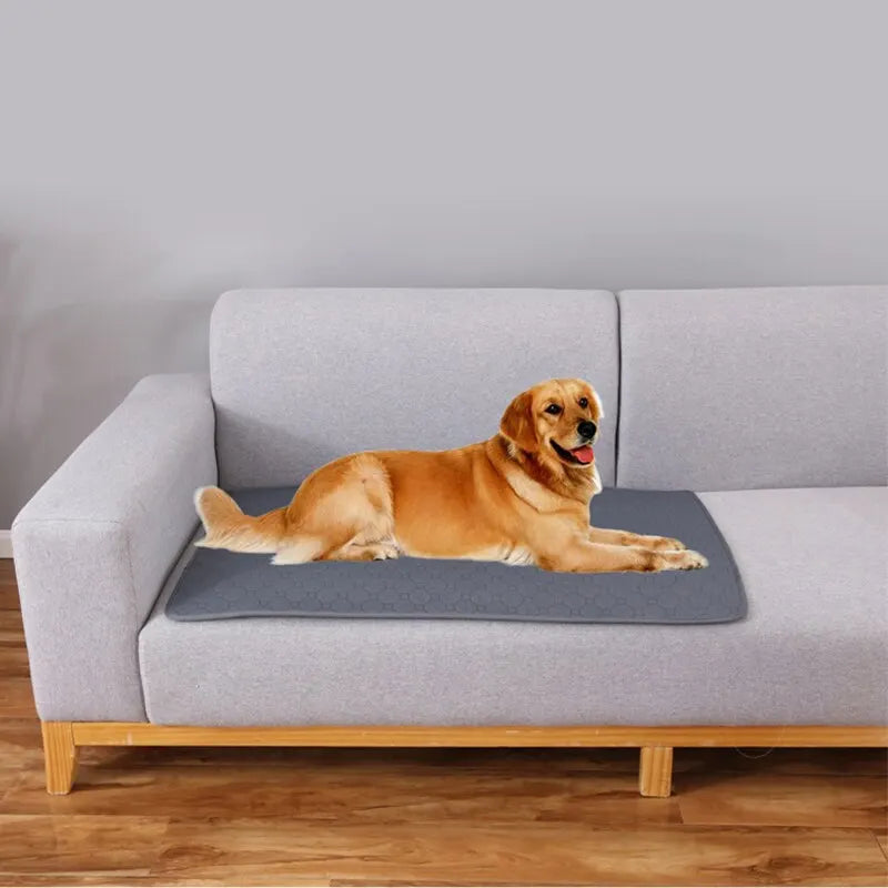 Dog Training Pad Washable Pet Pee Mat Super Absorbent Non-Slip Puppy Crate Mat Reusable Incontinence Pads for Dogs Cats Rabbit