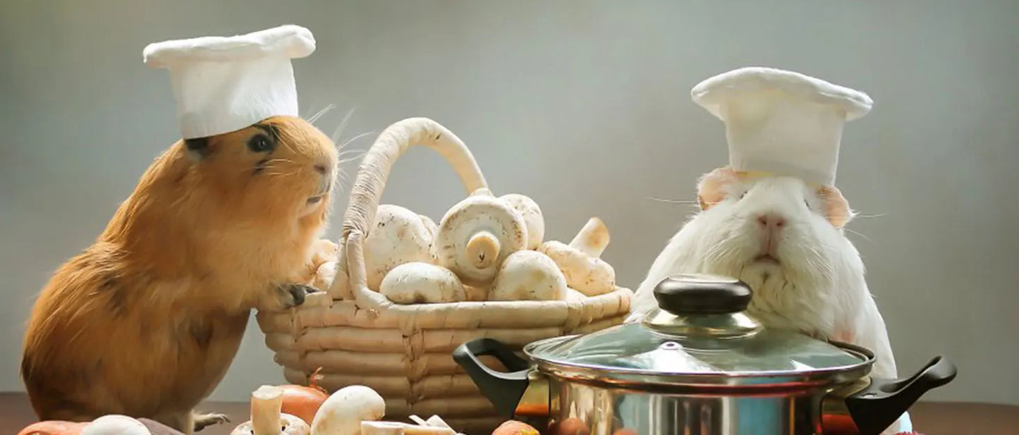 30*30cm 1-10Pcs Pet Warming Pad EVA Foam Guinea Pig Hamster Soft Sleeping Mat Rabbit Sleeping Mat Blanket Bed Pet Accessories