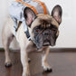 Preppy Style Bulldog Dog Travel Backpack Harness For Small Medium Dogsr To Wear Outdoor Cute Dog Carrier Bag Backpack Pets