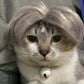 Pet Cat Dog Cosplay Wig Weird Funny Wig Personalized Holiday Party Dress Up Dog Wig Cute Pet Silver Hair Accessories