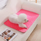 Reusable Dog Pee Pad Blanket Absorbent Diaper Washable Puppy Training Pad Pet Bed Urine Mat for Pet Car Seat Cover Pet Supplies