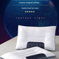 Adult Cassia Seed Pillow Case and Pillow Core Set Home a Pair of Pillow Core Protection Isolation Layer Cervical Support Sleep
