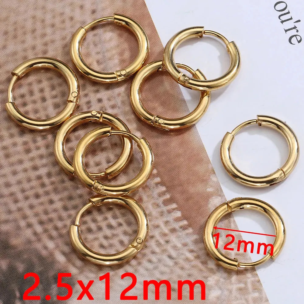 10pcs 8-14mm Stainless Steel Ear Hoop Gold Color Earring for Women Men DIY Jewelry Making Earring Punk Hiphop Piercing Accessory