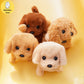 Plush Electric Puppy Simulation Pet Dog Can Walk Teddy Dog Golden Retriever Bichon Frize Dog Children Can Bark Run And Rock