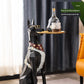 Violent Bear Living Room Large Dog Fancy Niche Style Ornaments