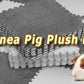30*30cm 1-10Pcs Pet Warming Pad EVA Foam Guinea Pig Hamster Soft Sleeping Mat Rabbit Sleeping Mat Blanket Bed Pet Accessories