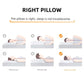 Sidford Home Buckwheat Pillow Seven Hotel Pillow Hanquan Court Season Special Pillow Core Cervical Support Sleep