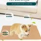 Reusable Dog Pee Pad Blanket Absorbent Diaper Washable Puppy Training Pad Pet Bed Urine Mat for Pet Car Seat Cover Pet Supplies
