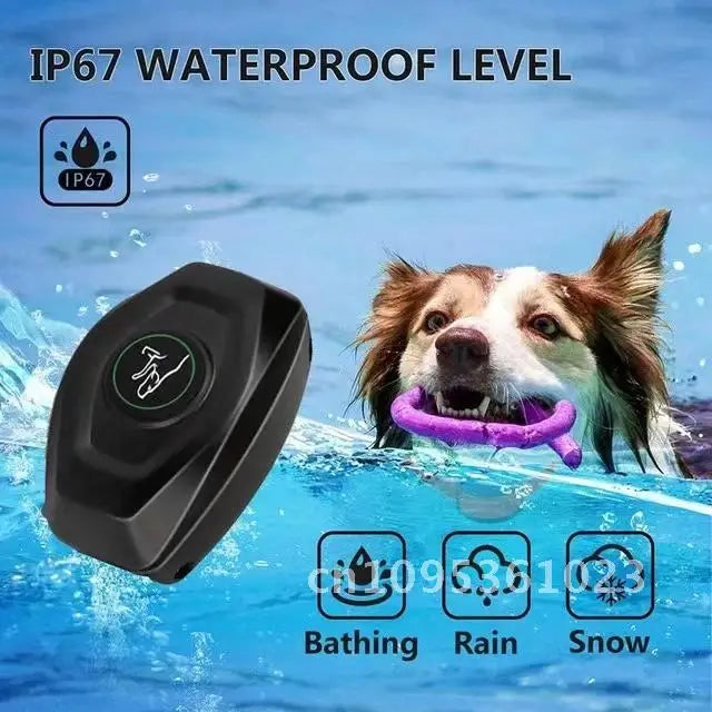 Electric Pet Training Collar, Remote Control, Anti Bark Vibration Collars Dog Sound, for Dogs, Waterproof, Rechargeable, Colar